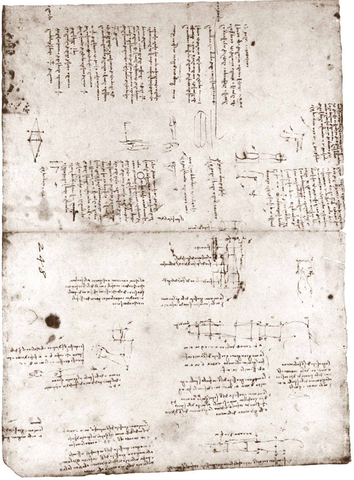Leonardo+da+Vinci-1452-1519 (822).jpg